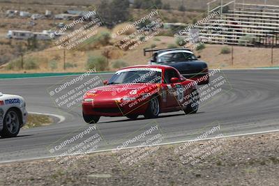media/May-03-2025-Lucky Dog Racing (Sat) [[206de64b9d]]/Turn 4 B (1150am-130pm)/